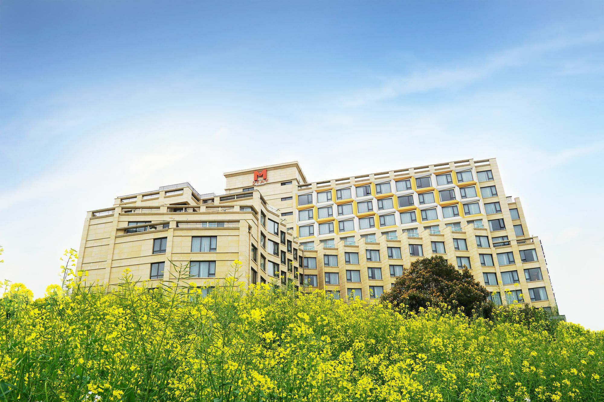 Mstay Hotel Seogwipo Dış mekan fotoğraf
